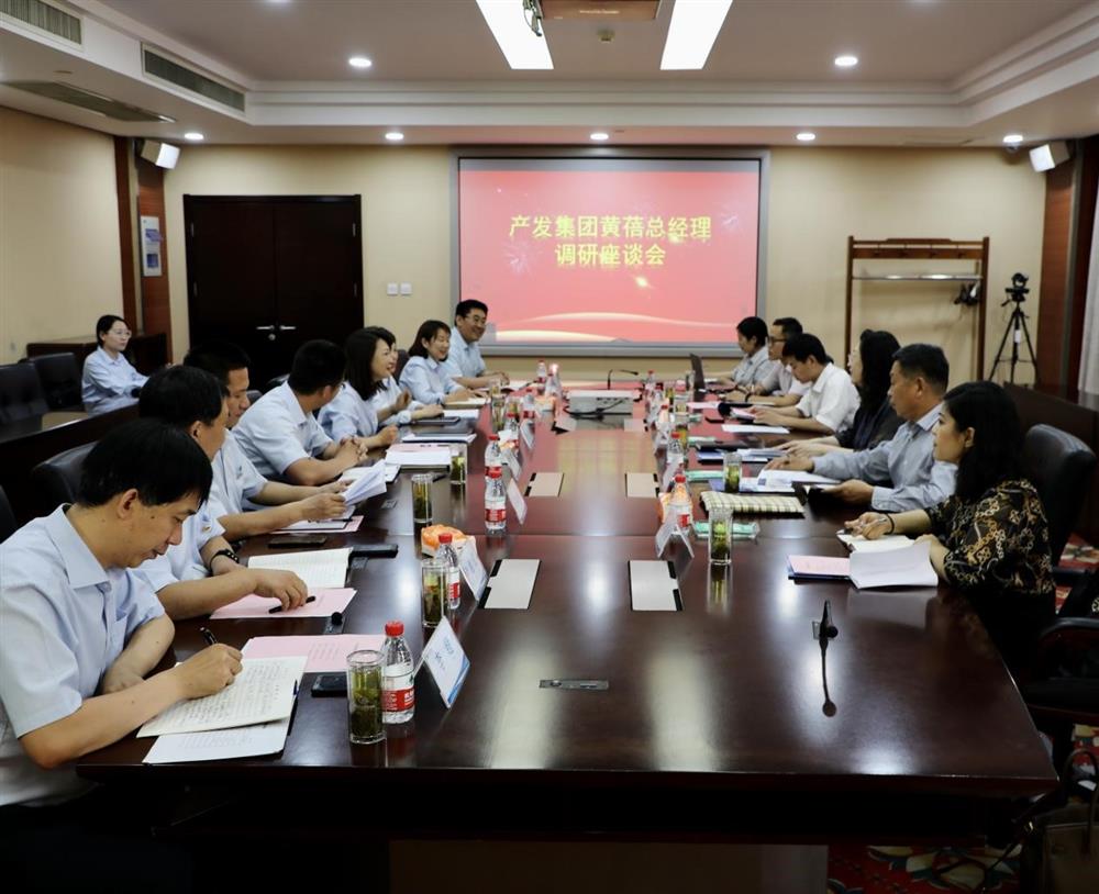 集團(tuán)黨委副書記、總經(jīng)理黃蓓帶隊(duì)調(diào)研濟(jì)南市工程咨詢?cè)? class=