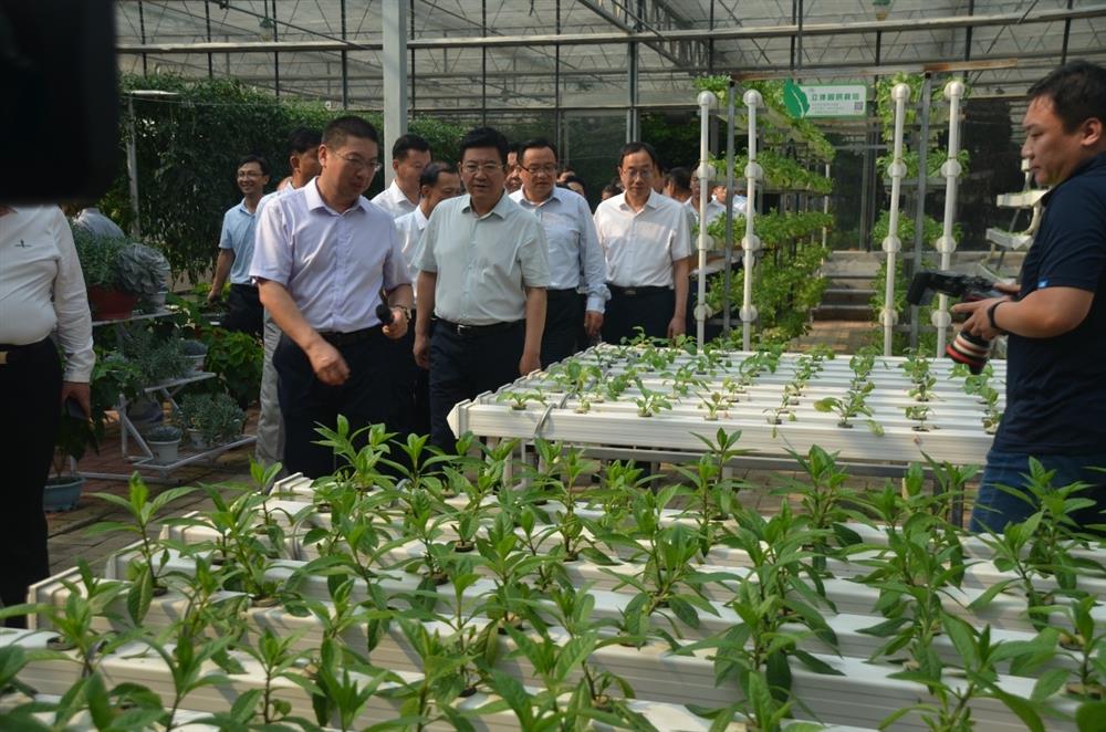 科技助農(nóng)，播撒光的種子  精準扶貧，助力鄉(xiāng)村振興